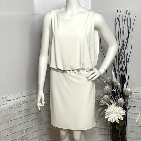 Ivory Bejewelled Jessica / Sears Midi Dress - Picture 3 of 12